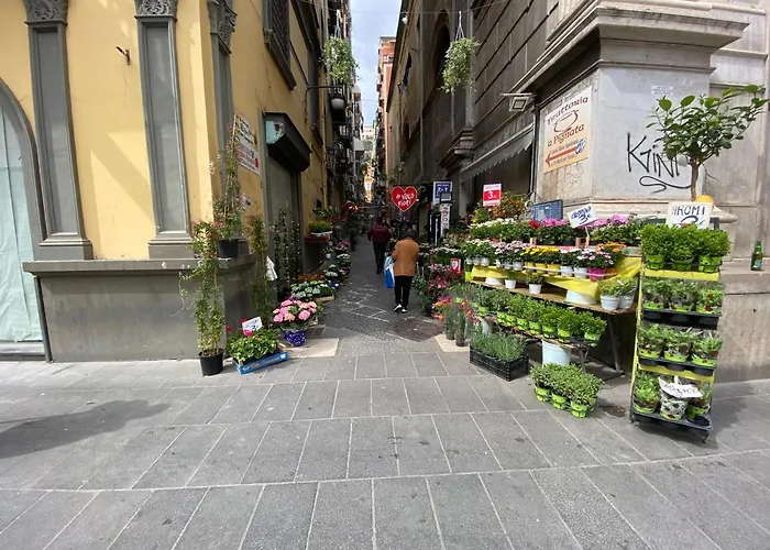 Panto' 2 Steps To Toledo Street